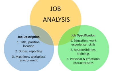 The Crucial Role of Job Analysis in Identifying the Right Talent: A Comprehensive Approach